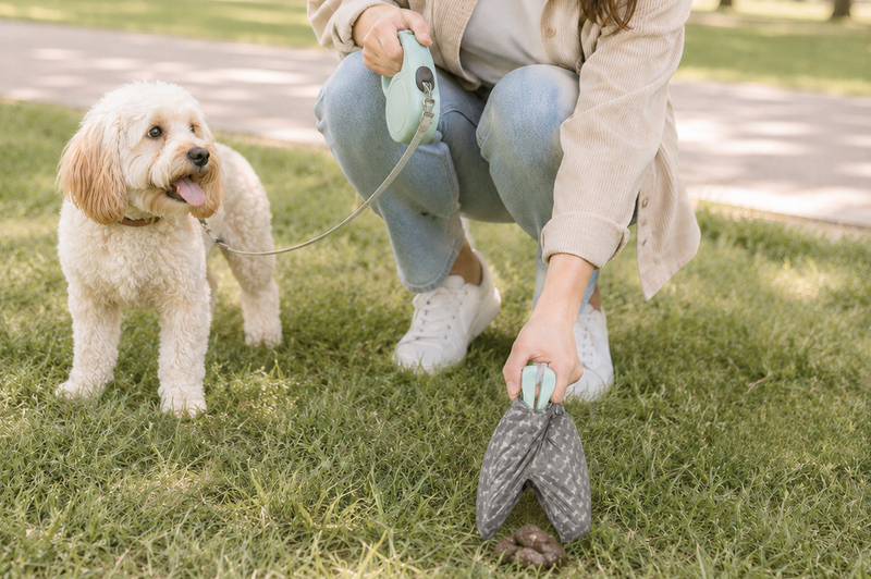 Quick, cleaner, stress-free walks